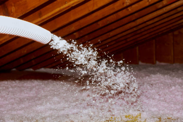 Best Attic Insulation Installation  in Livingston, TN